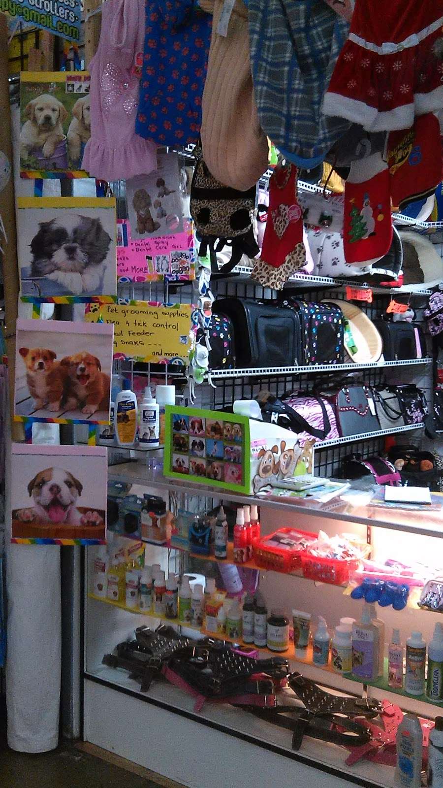 Shary Puppy Love | space i-5, 14650 Parthenia St, Panorama City, CA 91402 | Phone: (818) 429-4783