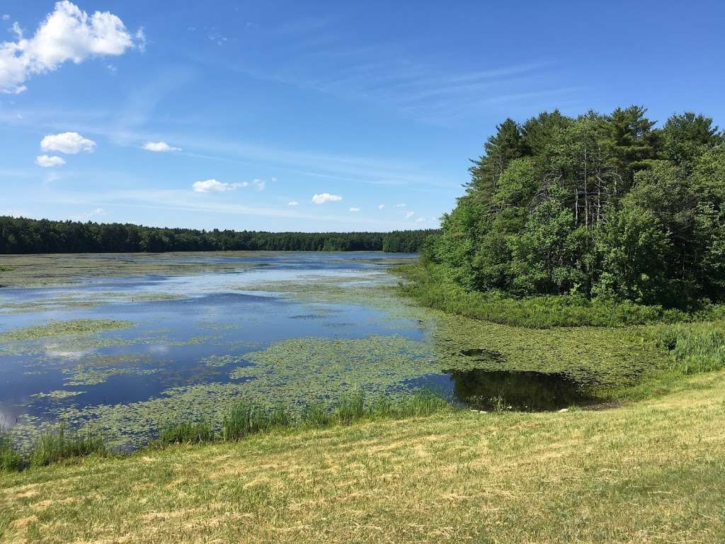 Delaney Flood Control Site | Harvard, MA 01451