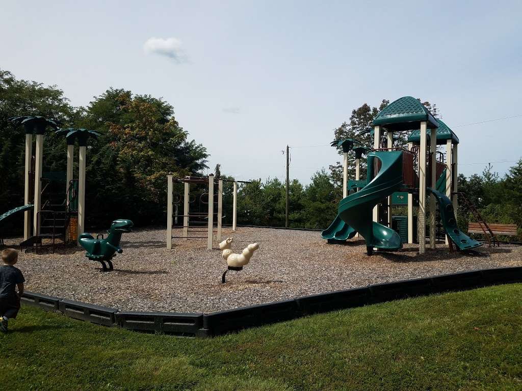 Community Playground | 19947 Alexandras Grove Dr, Ashburn, VA 20147, USA