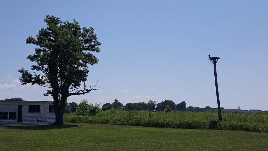 Rappahannock River Valley National Wildlife Refuge - Hutchinson  | 19180 Tidewater Trail, Tappahannock, VA 22560 | Phone: (804) 333-1470