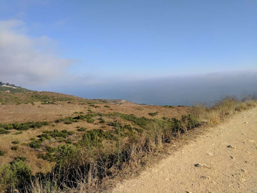 Palos Verdes Nature Preserve | Burma Rd, Rancho Palos Verdes, CA 90275 | Phone: (310) 541-7613