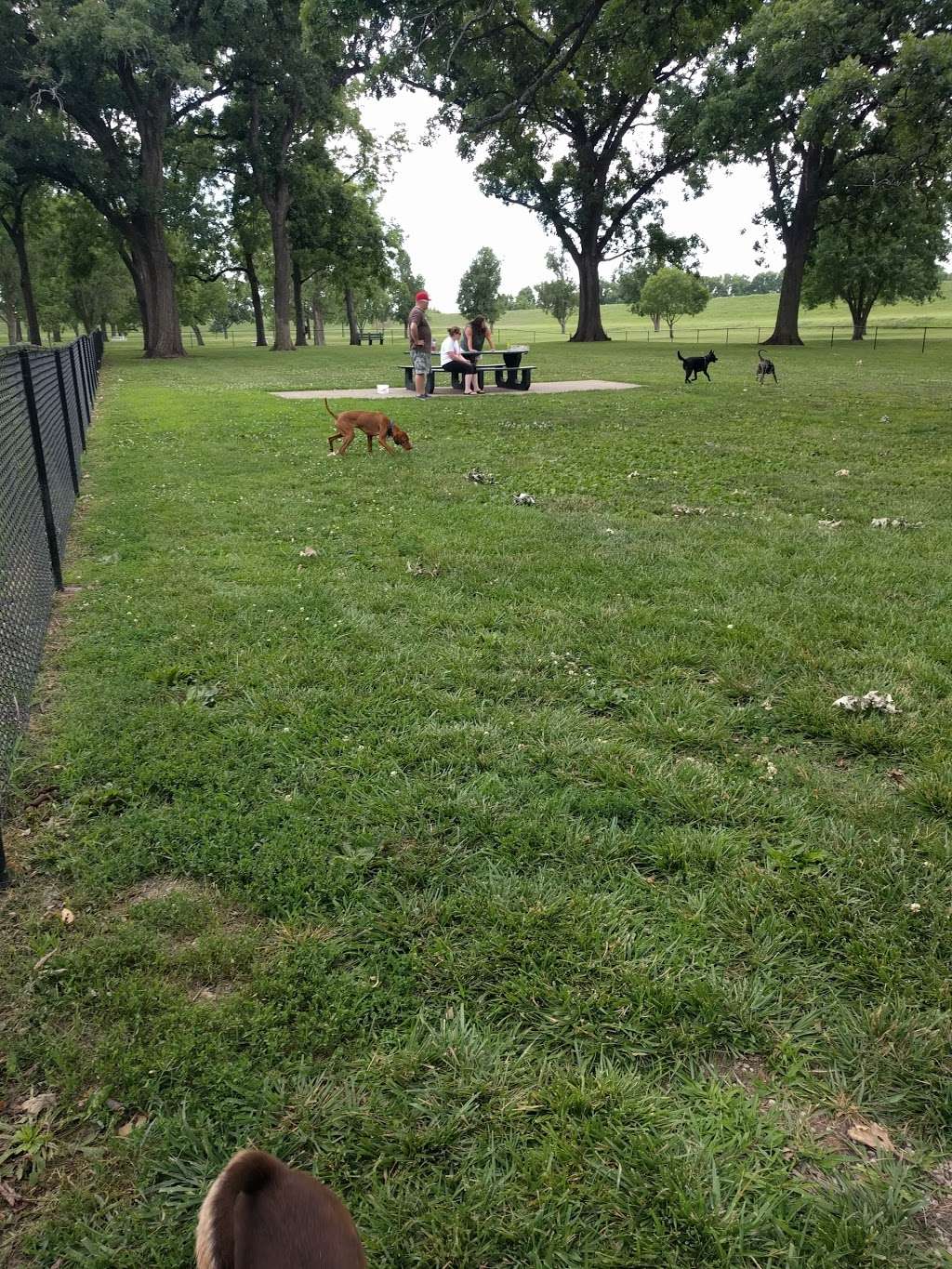 Bark Park | Ottawa, KS 66067, USA | Phone: (785) 229-3600