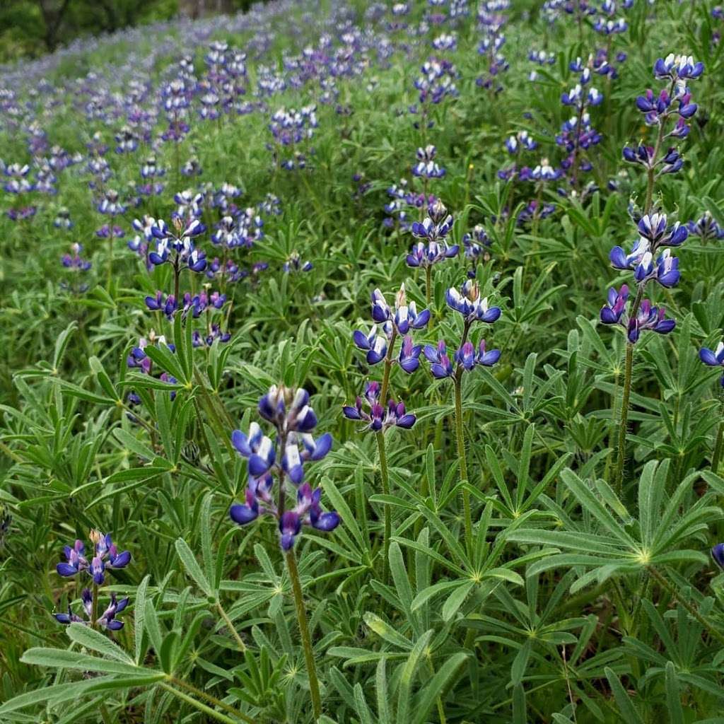 Round Valley Regional Preserve | California 94517, USA