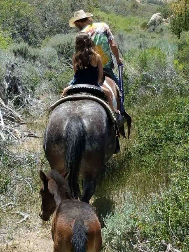 Oak Springs Ranch Riding Stables | 182 Fawnskin St, Apple Valley, CA 92308 | Phone: (760) 953-9299