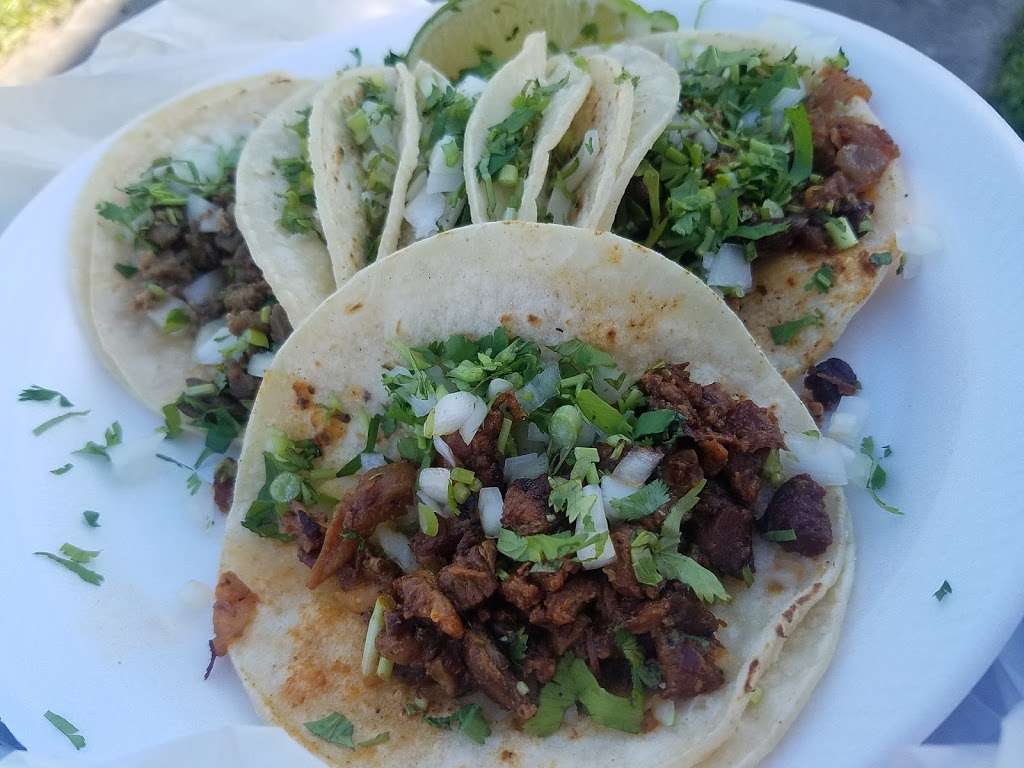 Taqueria El Alacran | 6611 Canal St, Houston, TX 77011, USA | Phone: (713) 514-0035