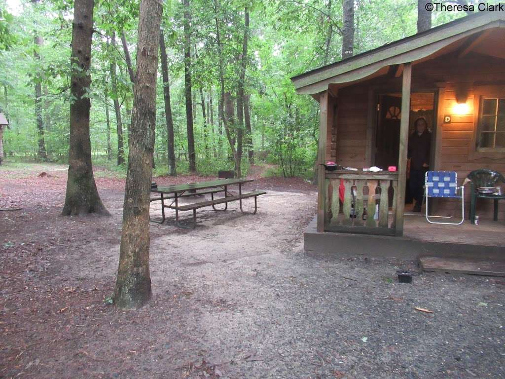 Martinak State Park, Campground, Loop A | Denton, MD 21629, USA | Phone: (410) 820-1668