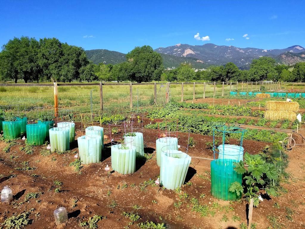 Charmaine Nymann Community Garden at Bear Creek Regional Park | Creek Crossing St, Colorado Springs, CO 80905 | Phone: (719) 634-4433