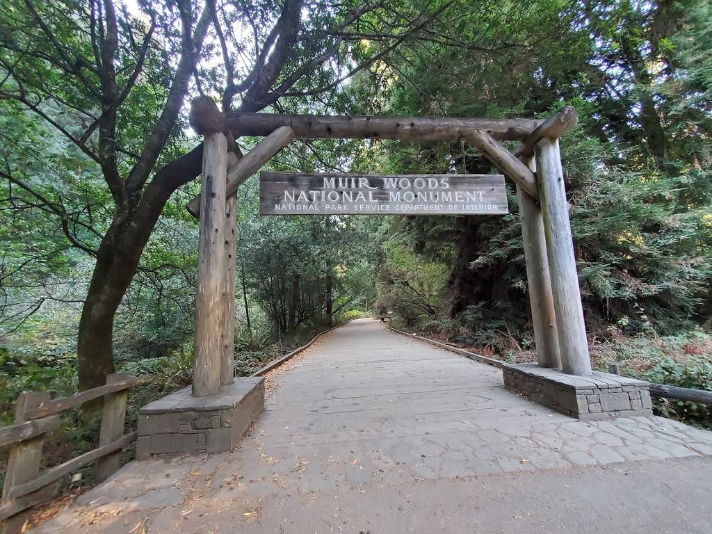 Muir Woods | 1 Muir Woods Rd, Mill Valley, CA 94941, USA | Phone: (415) 561-2850