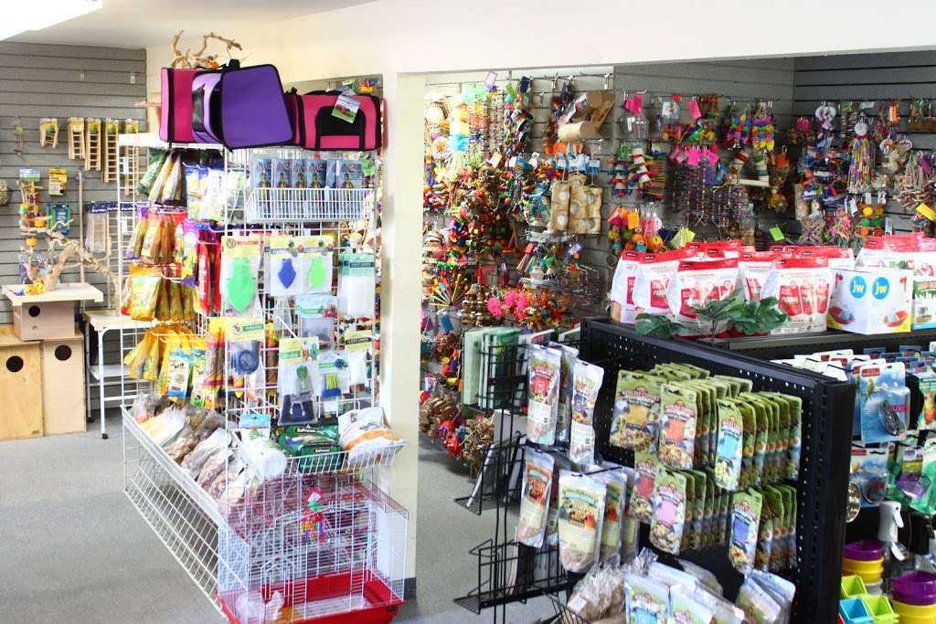 Feathered Follies | 1820 Arnold Industrial Way, Concord, CA 94520, USA | Phone: (925) 681-2473