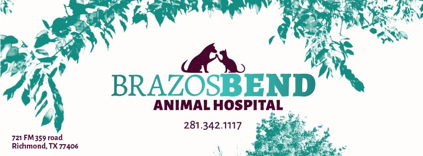 Brazos Bend Animal Hospital | 3361 721, Farm to Market 359, Richmond, TX 77406, USA | Phone: (281) 342-1117