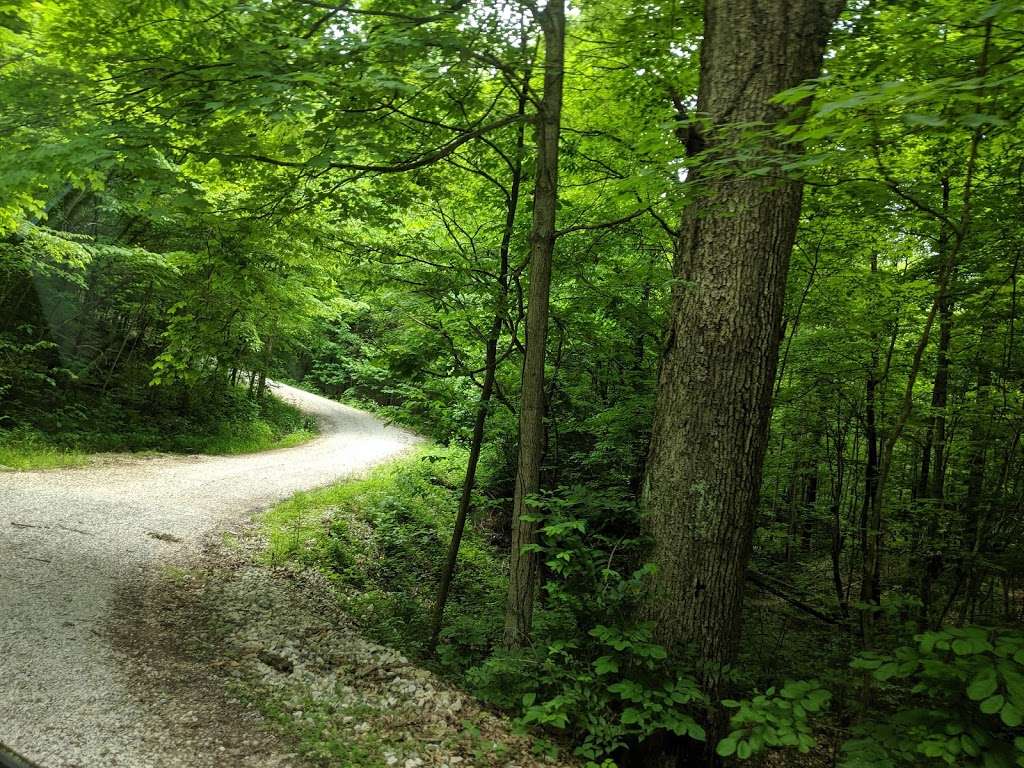 Buckner Cave | W Eller Rd, Bloomington, IN 47403, USA