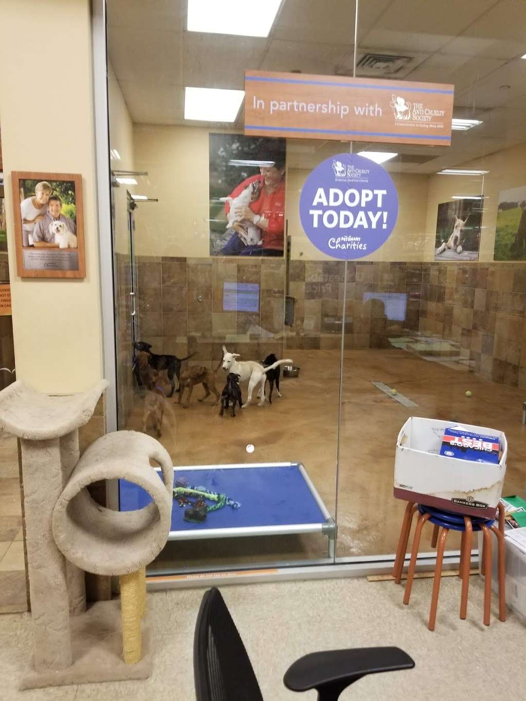 PetSmart | 1101 S Canal St, Chicago, IL 60607, USA | Phone: (312) 588-0138