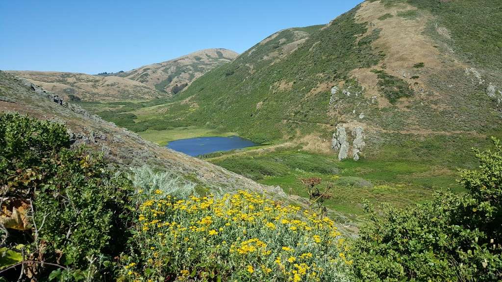 Tennessee Valley | Mill Valley, CA 94941, USA | Phone: (415) 561-4700