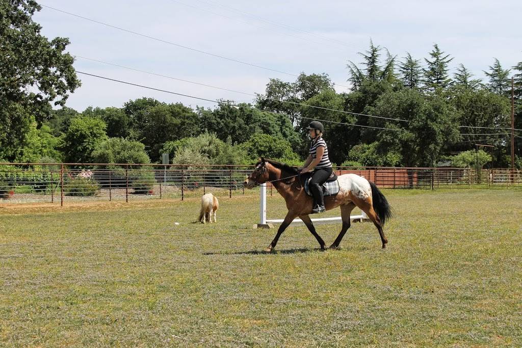 Hoofbeats Equestrian | 8790 Mecca Rd, Elk Grove, CA 95624, USA | Phone: (916) 796-3044