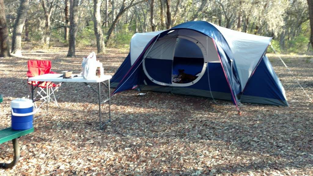 Field Campground, Tiger Bay State Forest 801 Rima Ridge Rd