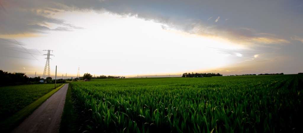 Andy Blackmers Farm Fresh Sweet Corn | Co Rd 12, Kirkland, IL 60146, USA | Phone: (815) 262-2951