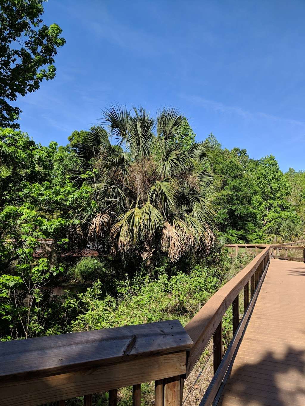 Fenney Nature Trail | Wildwood, FL 34785, USA