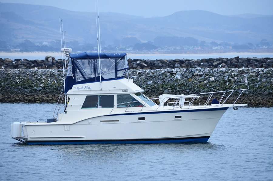 Mooch Better Fishing | 1 Johnson Pier, Half Moon Bay, CA 94019 | Phone: (650) 888-5125