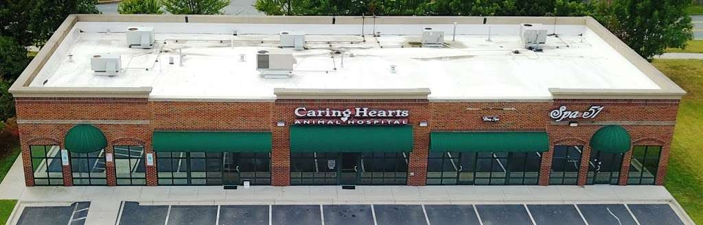 Caring Hearts Animal Hospital | 7850 Stevens Mill Rd, Matthews, NC 28104, USA | Phone: (704) 893-2799