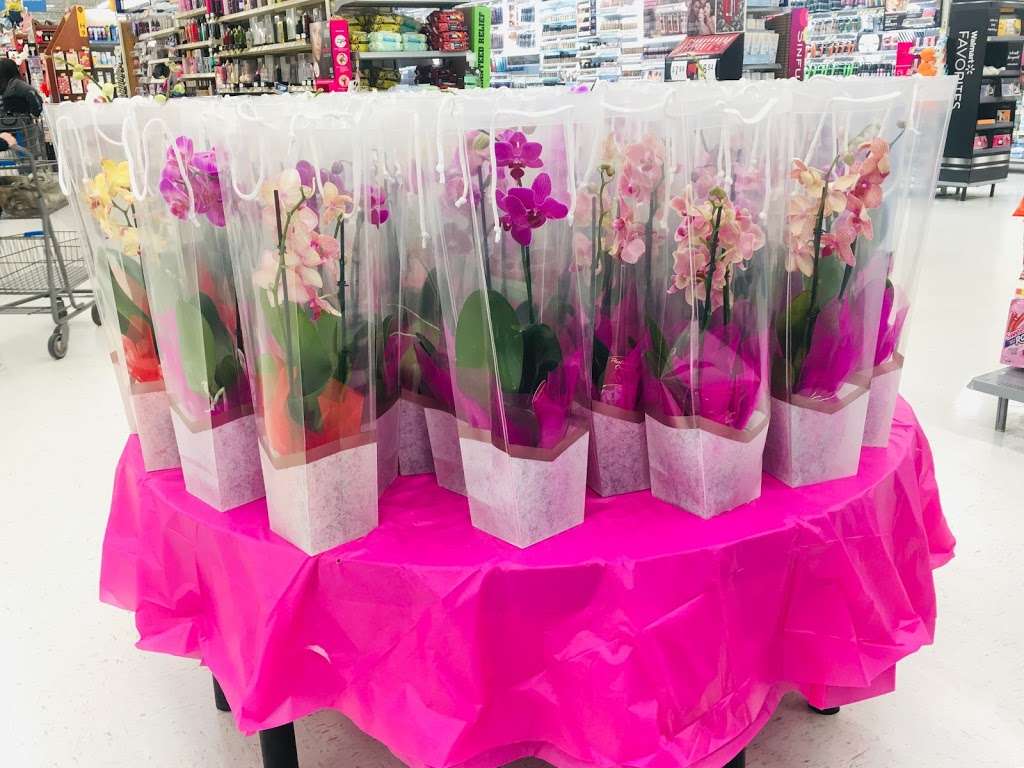 Walmart Photo Center | 169 Norman Station Blvd, Mooresville, NC 28117, USA | Phone: (704) 664-7002