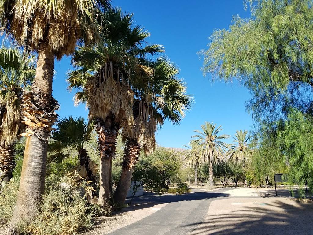 Agua Caliente Regional Park | 12325 E Roger Rd, Tucson, AZ 85749, USA | Phone: (520) 724-5000