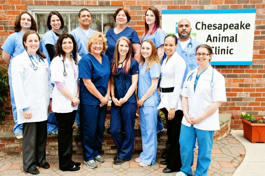 Chesapeake Animal Clinic | 9825 Old Solomons Island Rd, Owings, MD 20736, USA | Phone: (301) 855-5166