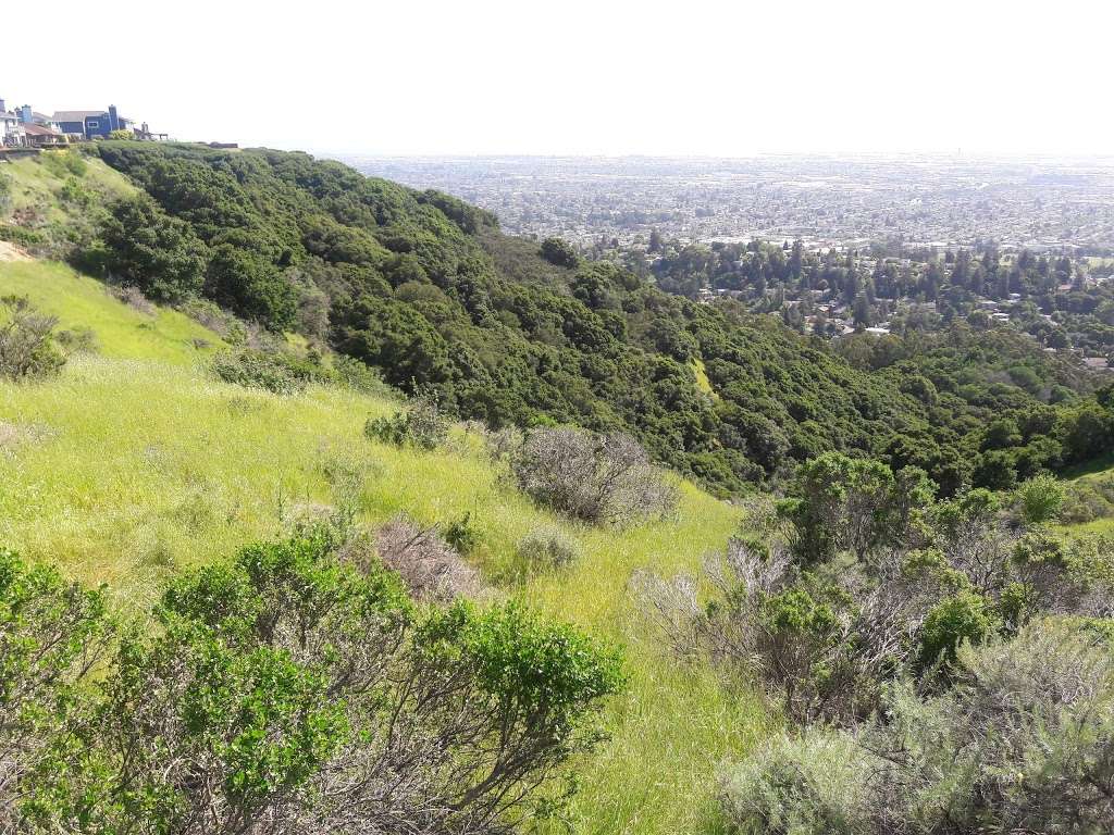 Leona Canyon Trail Head | Campus Dr, Oakland, CA 94619, USA