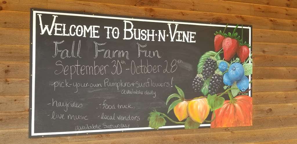 Bush-N-Vine Farm | 1650 Filbert Hwy, York, SC 29745, USA | Phone: (803) 684-2732