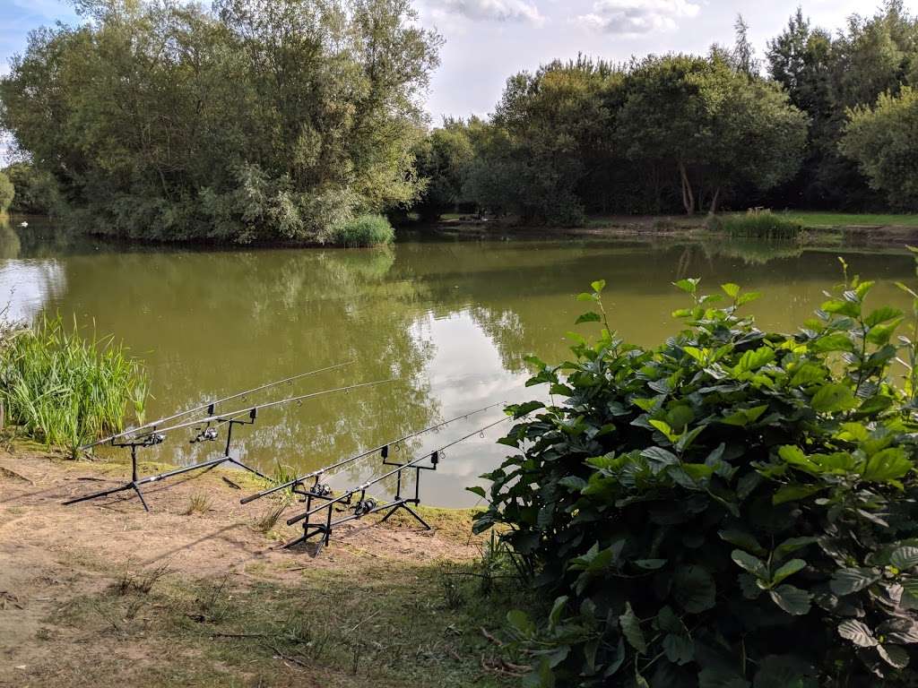 Birds Green Fishing Lakes | Birds Green, Ongar CM5 0FL, UK | Phone: 07847 753699