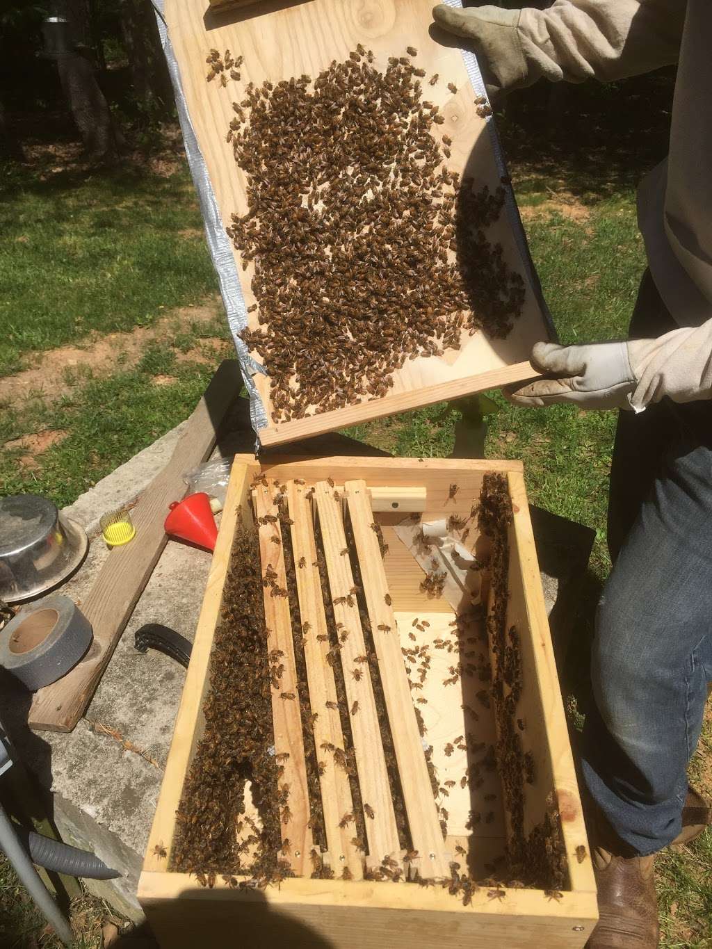 Honey Strong Bee Supply & Bee Nursery | 1753 Ebenezer Rd, Smyrna, SC 29743, USA | Phone: (704) 993-6833