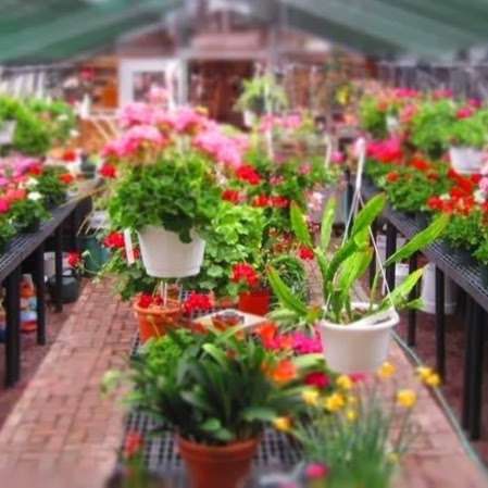 Ross and Ross Nursery | 7729, 5801 Paradise Valley Rd, Cresco, PA 18326 | Phone: (570) 595-9760