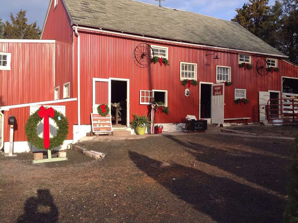 Sitko Christmas Tree Farm | 1141 Kepler Rd, Pottstown, PA 19464 | Phone: (610) 468-6647