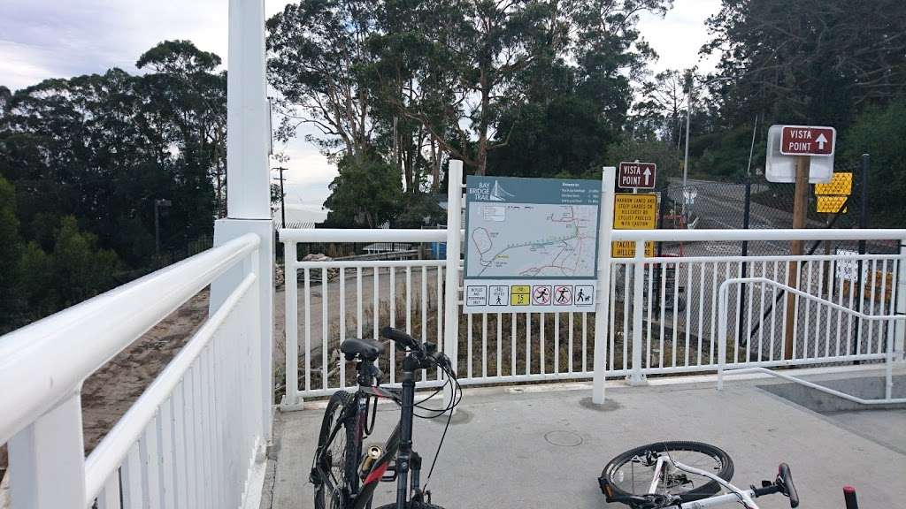 Bay Bridge Trail Lookout | San Francisco, CA 94130