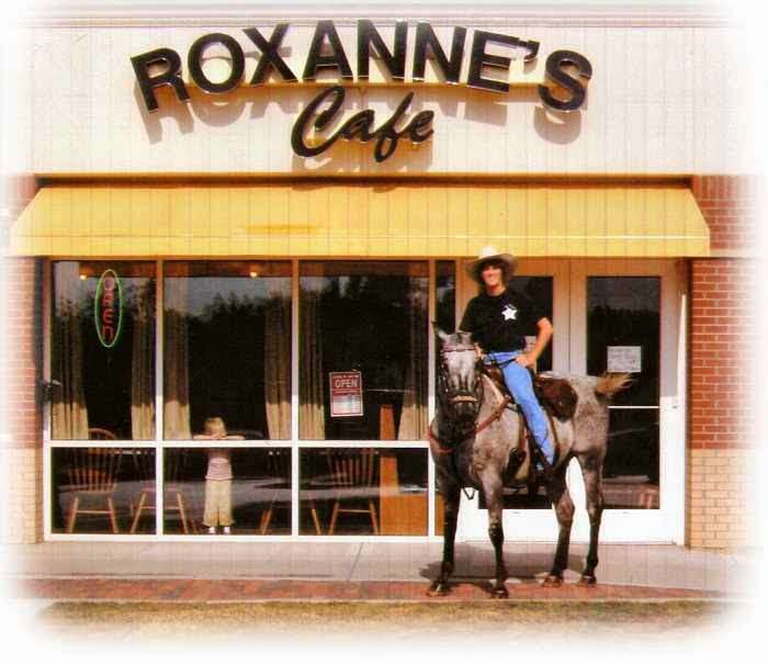 Roxannes Cafe | 1126 Branch St, Platte City, MO 64079, USA | Phone: (816) 858-7027