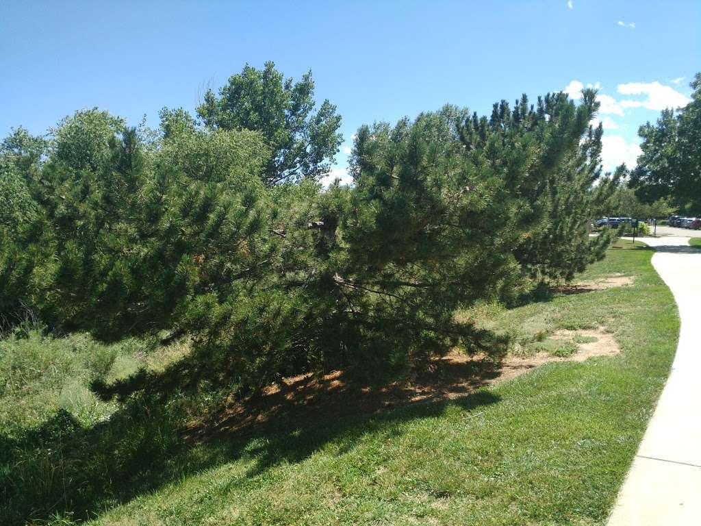 Falcon Park | 9555 Fall Brooke Dr, Highlands Ranch, CO 80126, USA | Phone: (303) 791-0430 Falcon Park | 9555 Fall Brooke Dr, Highlands Ranch, CO 80126, USA | Phone: (303) 791-0430