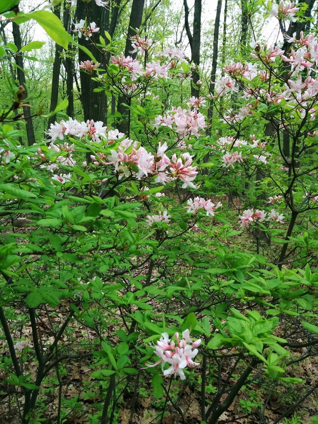 Deere Park | Todt Hill Rd. &, Ocean Terrace, Staten Island, NY 10301, USA | Phone: (212) 639-9675