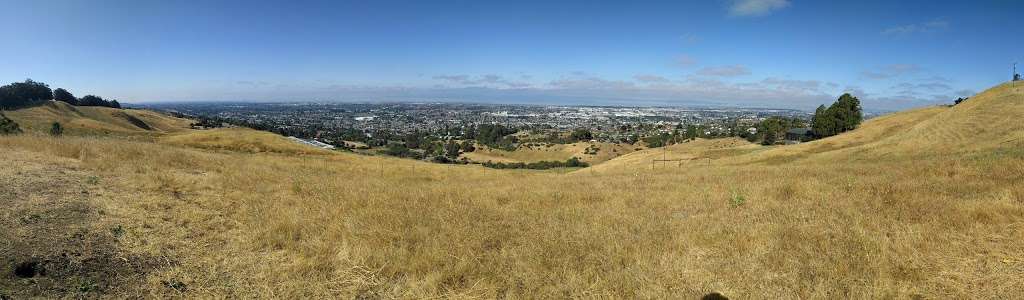 Alameda County Childrens Memorial Flag and Grove Project | Lake Chabot Rd, Castro Valley, CA 94546