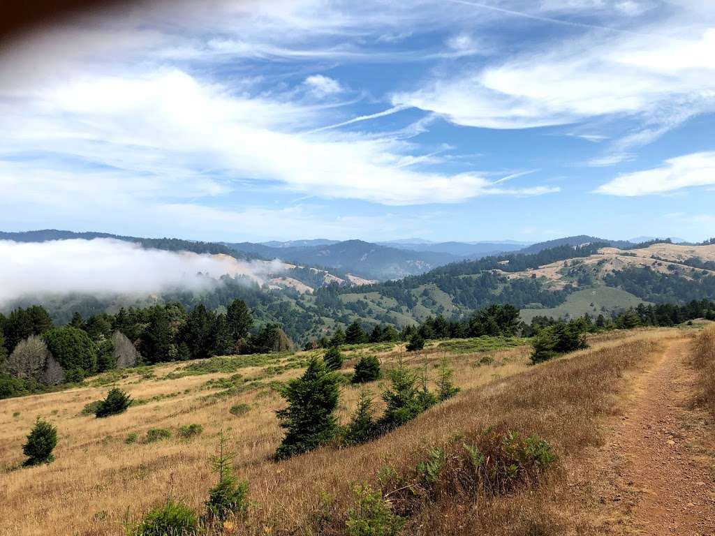 Pomo Canyon Trail | Pomo Canyon Trail, Duncans Mills, CA 95430, USA