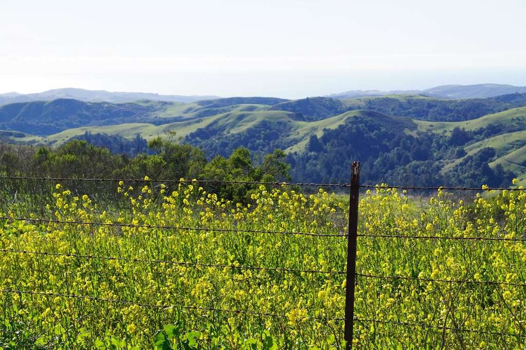 Anniversary Trail Parking and Picnic Tables | Anniversary Trail, Portola Valley, CA 94028, USA