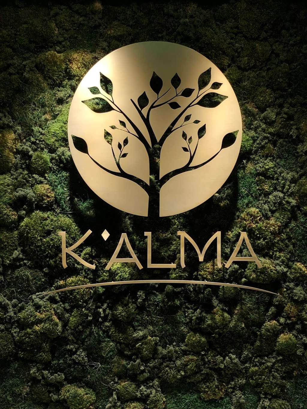 KAlma Spa | 1144 Ocean Dr, Miami Beach, FL 33139, USA | Phone: (305) 728-6500