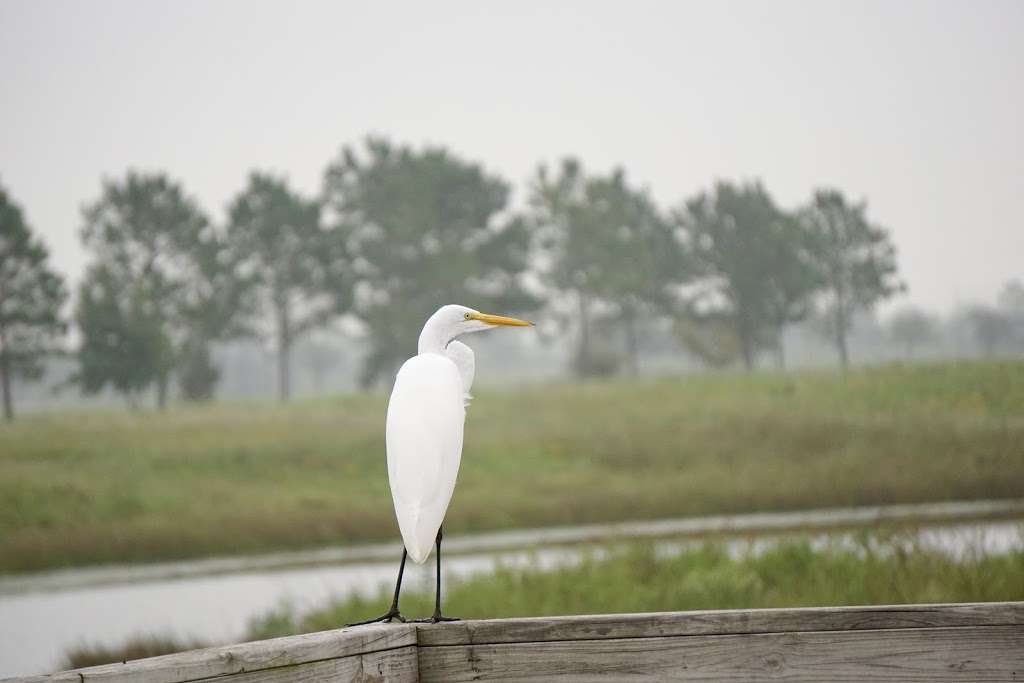 Paul D Rushing Park | 9114 Katy Hockley Rd, Katy, TX 77493, USA | Phone: (281) 496-2177