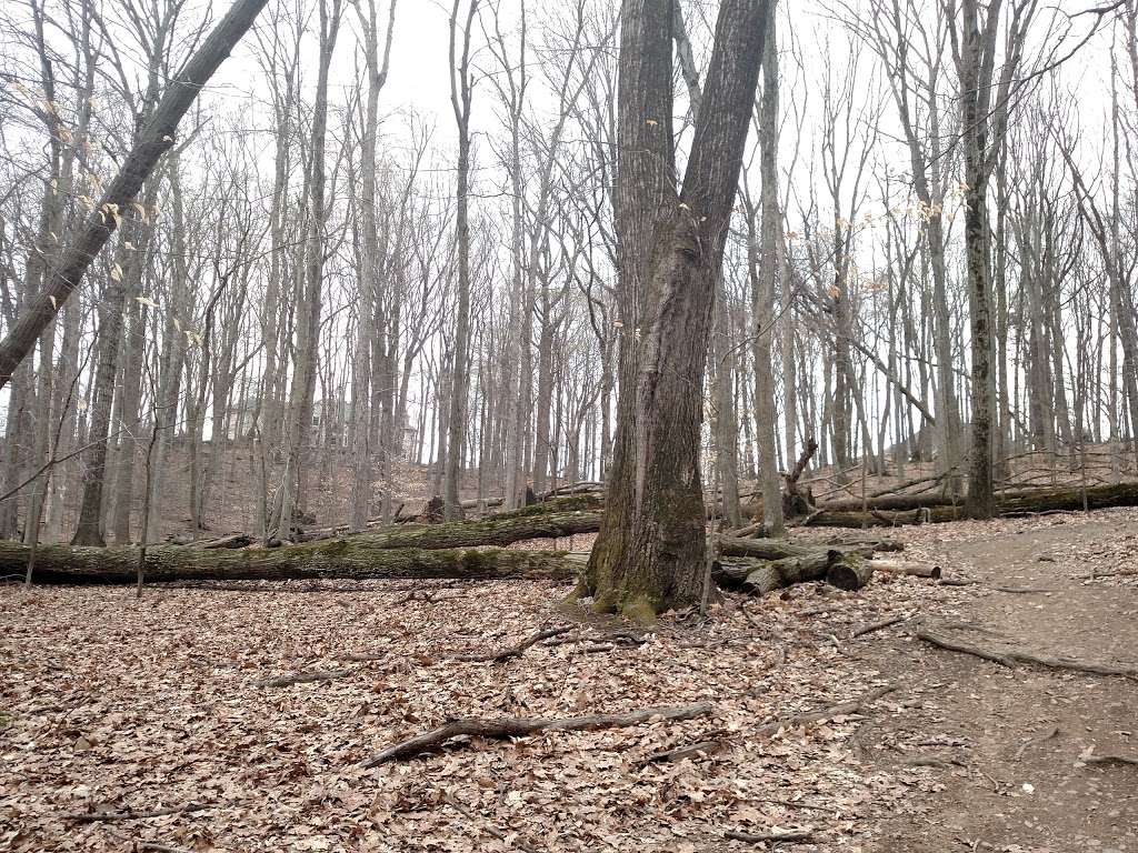 Lewis Morris Park in 270 Mendham Rd, Morristown, NJ 07960, USA