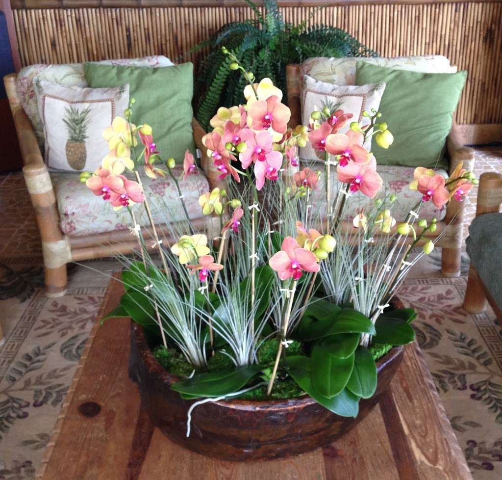 Palm Beach Orchids | 7401 Tropical World Way, Boynton Beach, FL 33437 | Phone: (561) 472-4197
