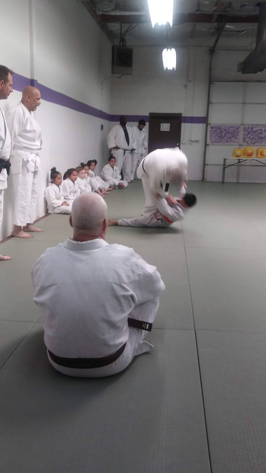 RIKI DOJO USA Japanese Jujitsu and Kodokan Judo | 535 W Iron Ave, Mesa, AZ 85210 | Phone: (480) 294-4746