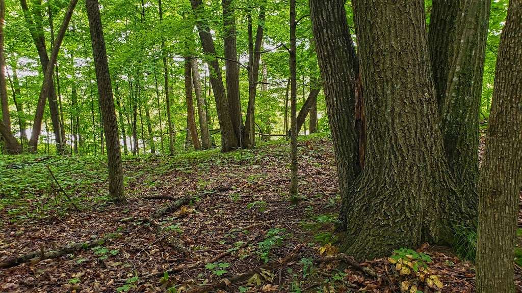 Texas Island Woods State Natural Area | Froelich Rd, Helenville, WI 53137, USA | Phone: (888) 936-7463