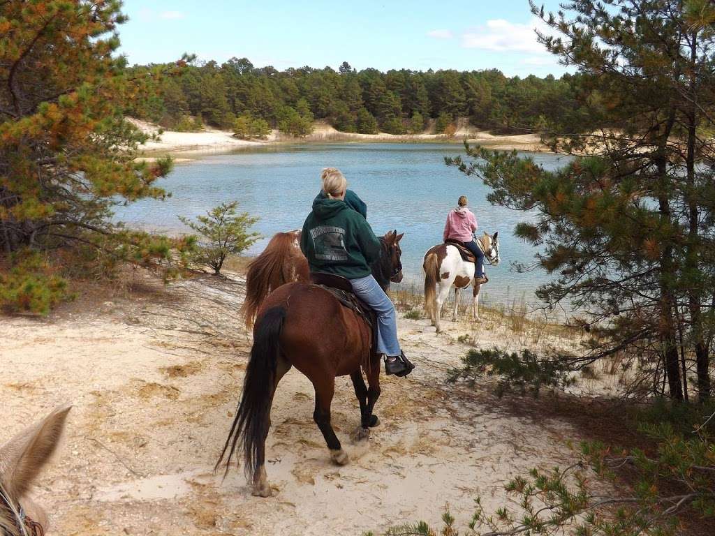 Menantico Ponds Fish and Wildlife Management Area | 8747 Ferry Road, Millville, NJ 08332 | Phone: (856) 785-0455