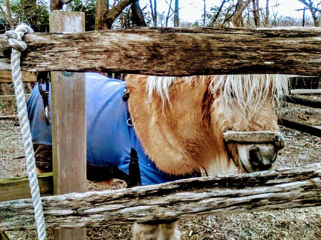 Timberline Park in 400 Broadway, Brentwood, NY 11717, USA