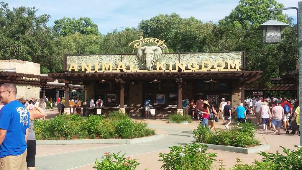 Rainforest Cafe | 505 Rain Forest Rd, Lake Buena Vista, FL 32830, USA | Phone: (407) 938-9100 Rainforest Cafe | 505 Rain Forest Rd, Lake Buena Vista, FL 32830, USA | Phone: (407) 938-9100