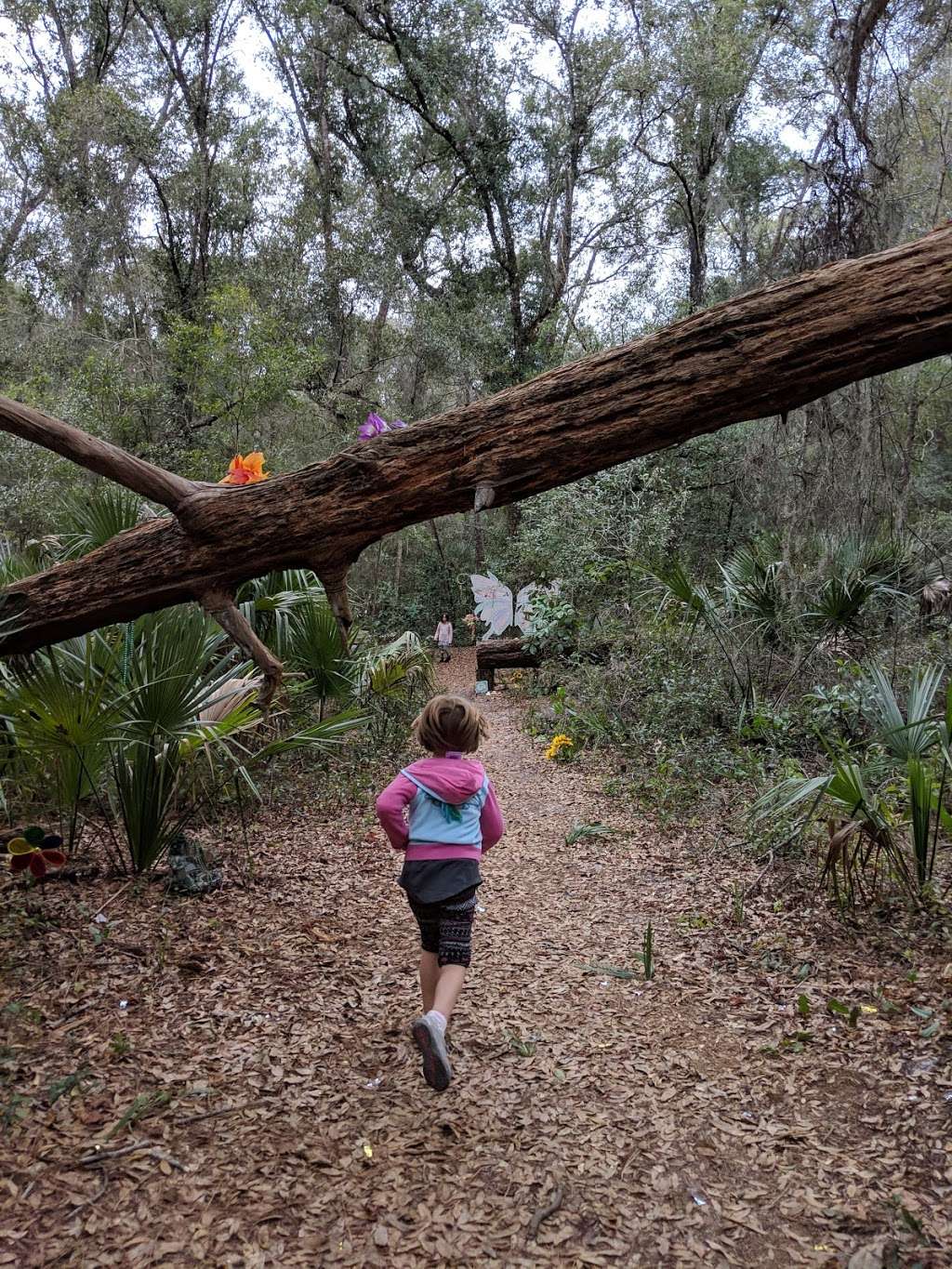 Horseshoe Park and Fairy Trail | Lake Helen, FL 32744, USA