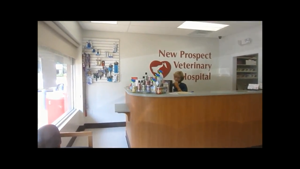 New Prospect Veterinary Hospital | 165 S New Prospect Rd, Jackson, NJ 08527, USA | Phone: (732) 363-4500